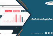 التسويق الرقمي للشركات الصغيرة